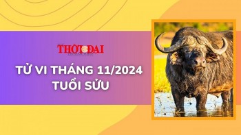 Tử vi tháng 11/2024 tuổi Sửu: Suôn sẻ từ công việc đến tình duyên