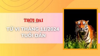 Tử vi tháng 11/2024 tuổi Dần: Cát tinh dẫn đường vạn sự hanh thông