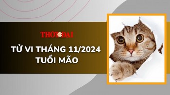 Tử vi tháng 11/2024 tuổi Mão: Hung cát đan xen, hành sự cần cẩn thận