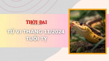 tu vi thang 112024 tuoi ty tai chinh co nhung buoc nhay vot dang mung