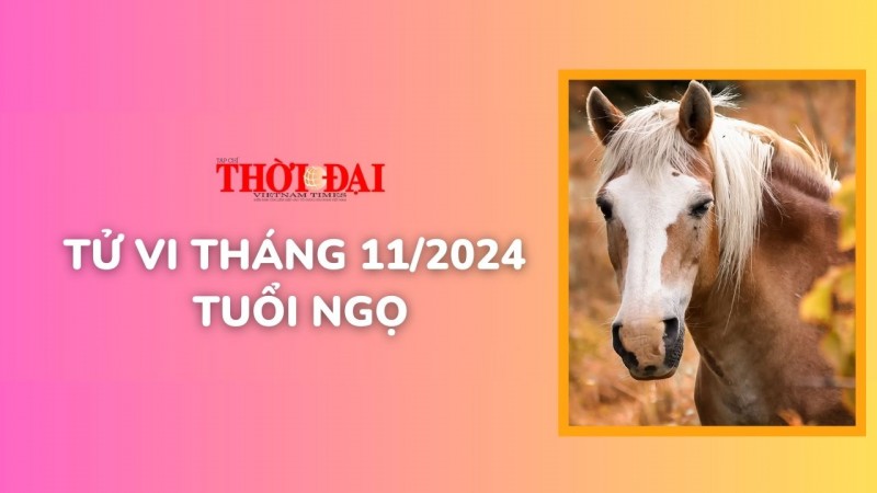 Tử vi tháng 11/2024 tuổi Ngọ: Hung tinh đeo bám, dễ xung đột với những người xung quanh