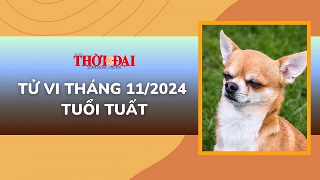 Tử vi tháng 11/2024 tuổi Tuất: Nhiều khó khăn và khúc mắc