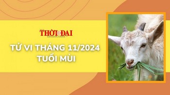 tu vi thang 112024 tuoi mui kho khan ap luc chong chat