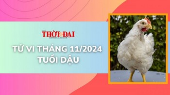 tu vi thang 112024 tuoi dau tot xau dan xen vui buon lan lon