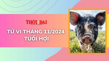 tu vi thang 112024 tuoi hoi co hoi va nguy co deu tiem tang trong van trinh