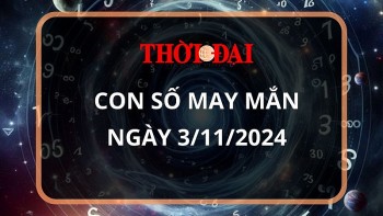 Con số may mắn hôm nay 3/11/2024 12 con giáp: Dần tài tinh chiếu mệnh