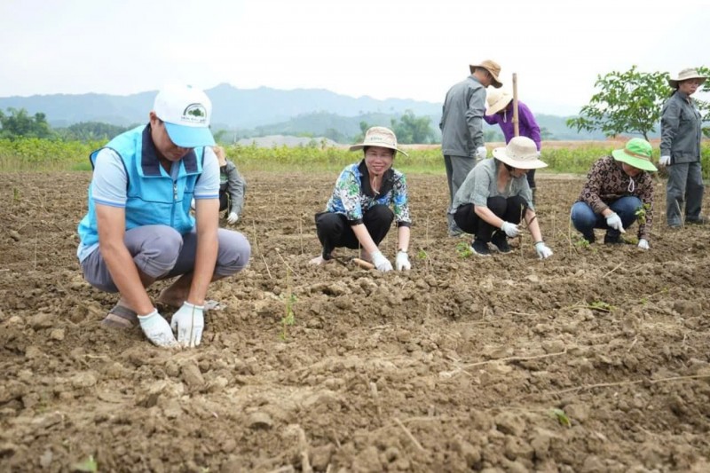 Xuất cấp hạt giống cây trồng hỗ trợ tỉnh Yên Bái