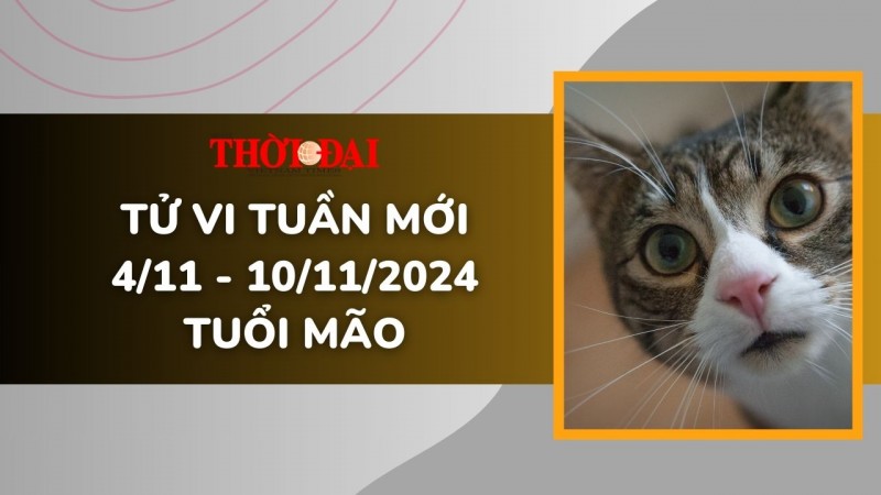 Tử vi tuần mới 4/11 đến 10/11/2024 tuổi Mão: Tình duyên, công danh tài lộc