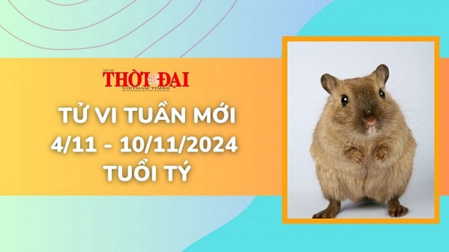 Tử vi tuần mới 4/11 đến 10/11/2024 tuổi Tý: Tình duyên, công danh tài lộc