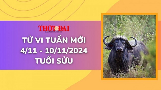 Tử vi tuần mới 4/11 đến 10/11/2024 tuổi Sửu: Công danh tài lộc, tình duyên