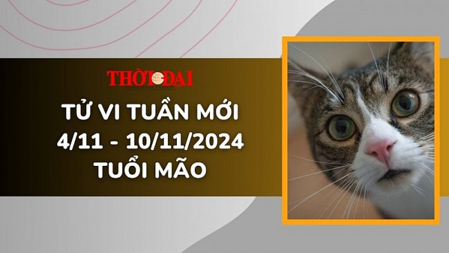 Tử vi tuần mới 4/11 đến 10/11/2024 tuổi Mão: Tình duyên, công danh tài lộc