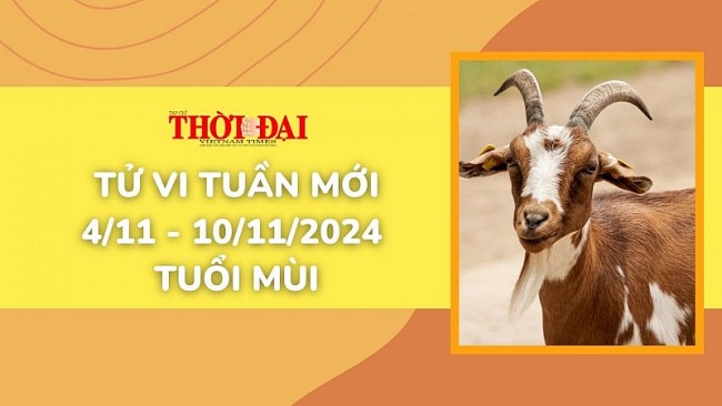 Tử vi tuần mới 4/11 đến 10/11/2024 tuổi Mùi: Tình duyên, công danh tài lộc