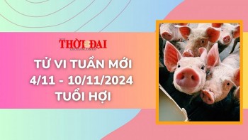 Tử vi tuần mới 4/11 đến 10/11/2024 tuổi Hợi: Tình duyên, công danh tài lộc