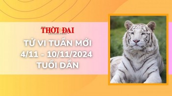 Tử vi tuần mới 4/11 đến 10/11/2024 tuổi Dần: Tình duyên, công danh tài lộc