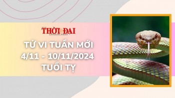 Tử vi tuần mới 4/11 đến 10/11/2024 tuổi Tỵ: Tình duyên, công danh tài lộc