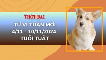 Tử vi tuần mới 4/11 đến 10/11/2024 tuổi Tuất: Tình duyên, công danh tài lộc