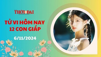 Tử vi hôm nay 12 con giáp 6/11/2024: Tý cát tinh chiếu mệnh Sửu gặp nhiều vất vả