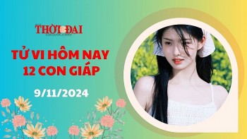 Tử vi hôm nay 12 con giáp 9/11/2024: Hợi tiền bạc ùn ùn kéo về