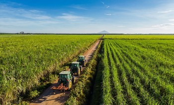 “Làn gió mới” tại TTC AgriS