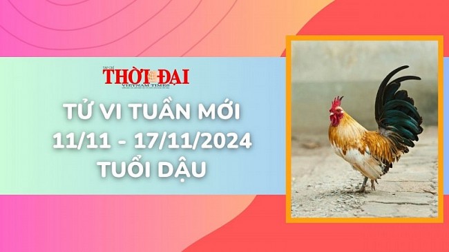 Tử vi tuần mới 11/11 đến 17/11/2024 tuổi Dậu: Tình duyên, công danh tài lộc