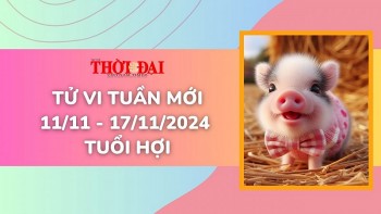 Tử vi tuần mới 11/11 đến 17/11/2024 tuổi Hợi: Sức khỏe, tình duyên, công danh tài lộc