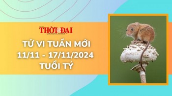 Tử vi tuần mới 11/11 đến 17/11/2024 tuổi Tý: Tình duyên, công danh tài lộc