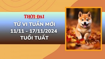 Tử vi tuần mới 11/11 đến 17/11/2024 tuổi Tuất: Công danh tài lộc, tình duyên