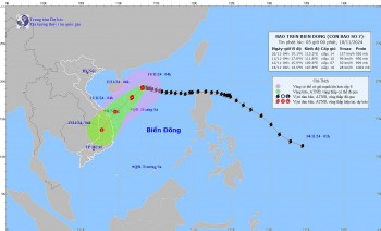 Thời tiết hôm nay (10/11): Bão số 7 sẽ suy yếu khi vào gần đất liền