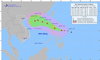 Bão số 7 chưa tan, bão Toraji đã tới