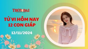 Tử vi hôm nay 12 con giáp 12/11/2024: Tý có một ngày làm việc bận rộn