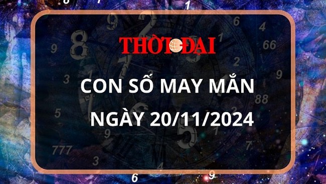 Con số may mắn hôm nay 20/11/2024 12 con giáp: Thìn có cơ hội đổi đời