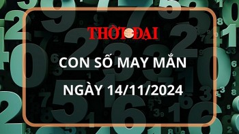 Con số may mắn hôm nay 14/11/2024 12 con giáp: Con số phát tài phát lộc