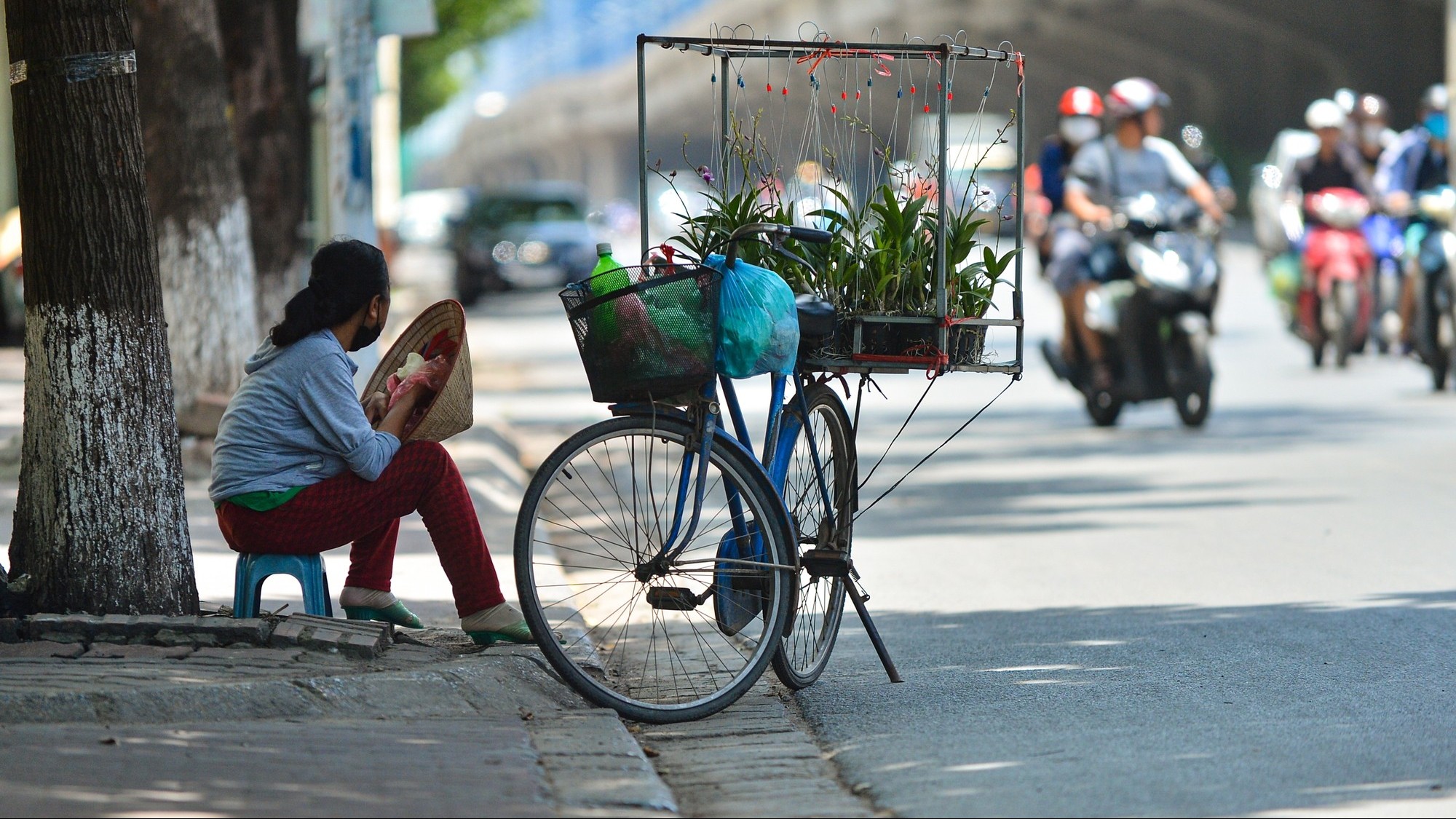 Thời tiết hôm nay (15/11): Bão số 8 tan trên biển, đất liền ngày nắng