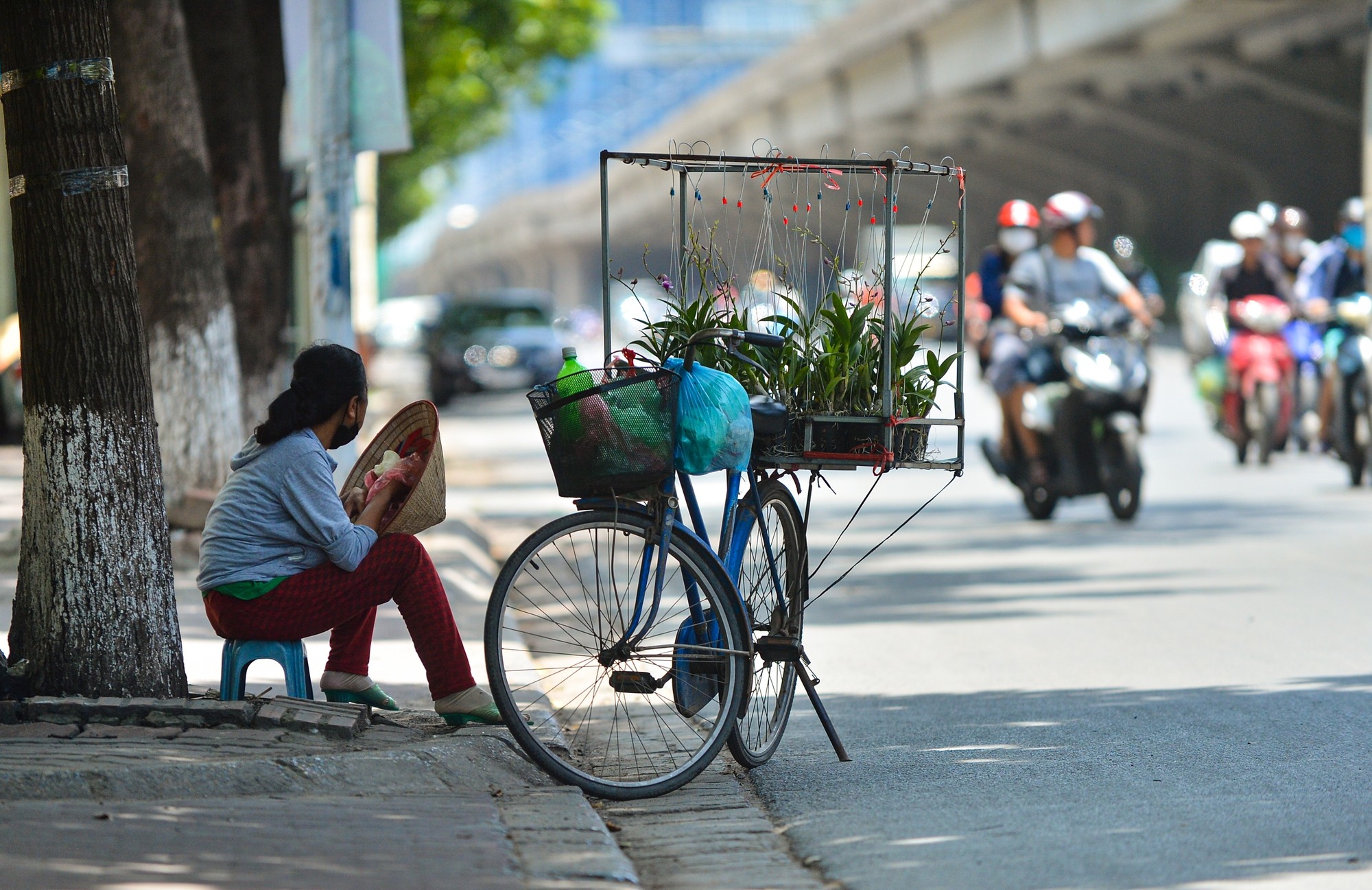 Hà Nội ngày nắng, đêm không mưa trong ngày 15/11. (Ảnh minh họa: KT) 