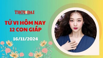 Tử vi hôm nay 12 con giáp 16/11/2024: Thìn vận trình tươi sáng Sửu thuận lợi bất ngờ