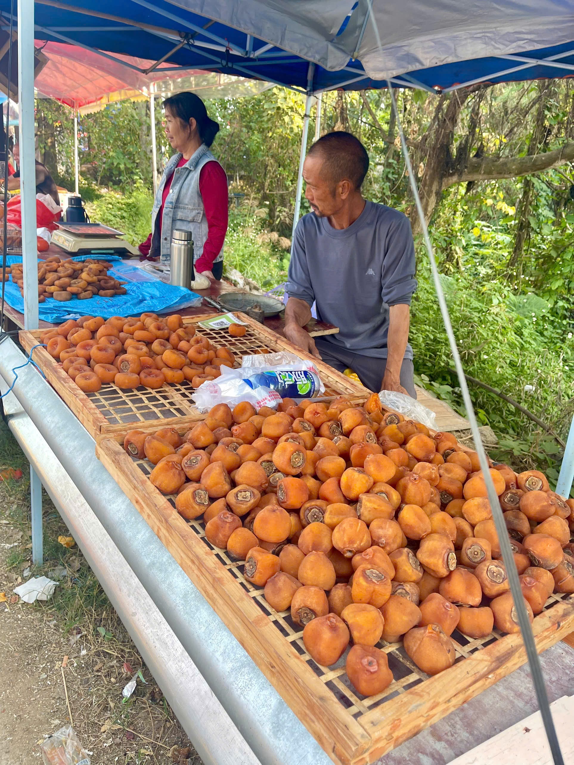 Mùa hồng đẹp như cổ tích tại huyện Cung Thành (Trung Quốc)