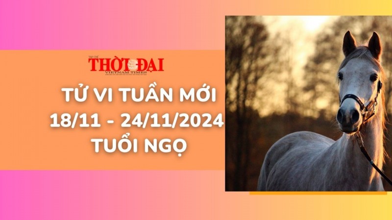 Tử vi tuần mới 18/11 đến 24/11/2024 tuổi Ngọ: Tình duyên, công danh tài lộc