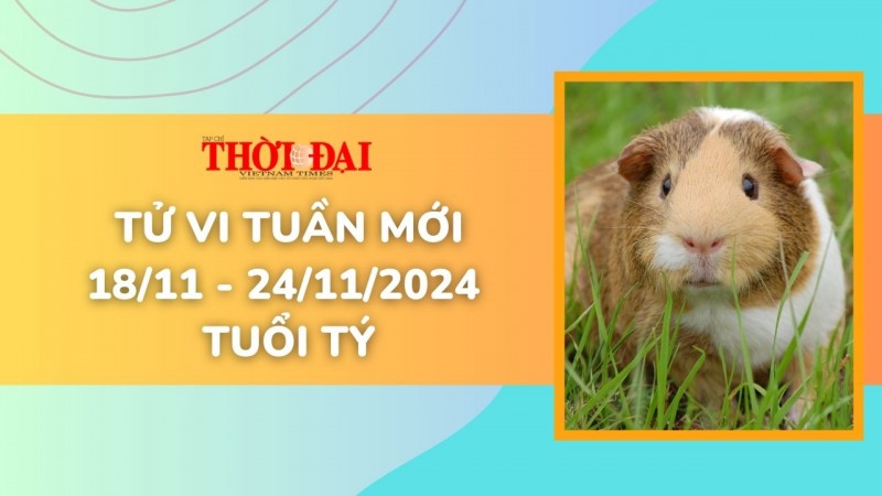 Tử vi tuần mới 18/11 đến 24/11/2024 tuổi Tý: Tình duyên, công danh tài lộc