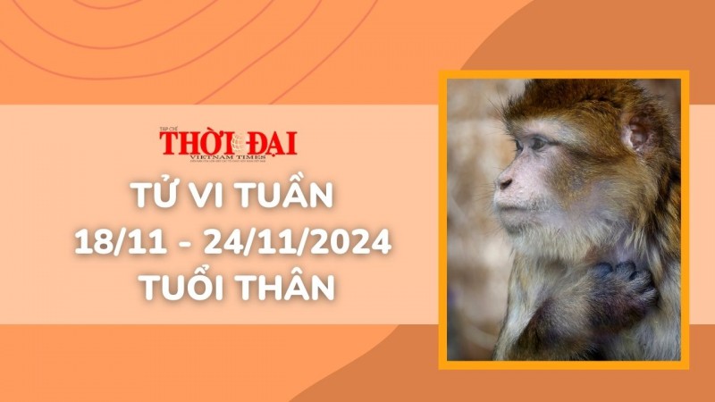 Tử vi tuần mới 18/11 đến 24/11/2024 tuổi Thân: Tình duyên, công danh tài lộc, Sức khỏe