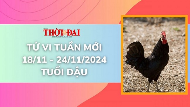 Tử vi tuần mới 18/11 đến 24/11/2024 tuổi Dậu: Tình duyên, công danh tài lộc