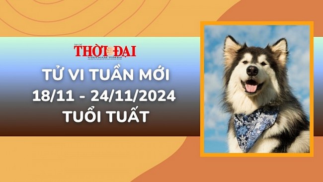 Tử vi tuần mới 18/11 đến 24/11/2024 tuổi Tuất: Tình duyên, công danh tài lộc