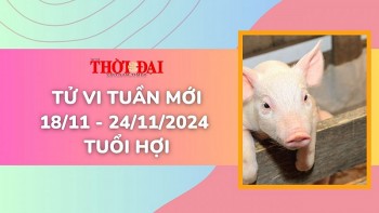 tu vi tuan moi 1811 den 24112024 tuoi hoi tinh duyen cong danh tai loc