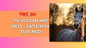 Tử vi tuần mới 18/11 đến 24/11/2024 tuổi Ngọ: Tình duyên, công danh tài lộc