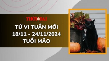 Tử vi tuần mới 18/11 đến 24/11/2024 tuổi Mão: Tình duyên, công danh tài lộc