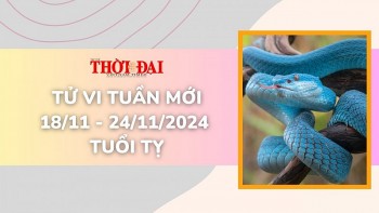 Tử vi tuần mới 18/11 đến 24/11/2024 tuổi Tỵ: Sức khỏe, tình duyên, công danh tài lộc