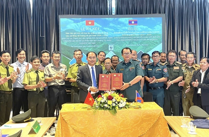 Việt Nam – Lào: Chung tay bảo vệ rừng, bảo tồn tài nguyên thiên nhiên ở tuyến biên giới