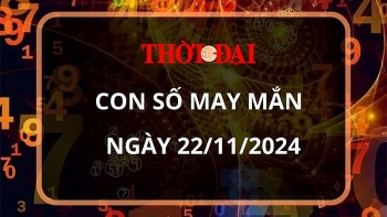 Con số may mắn hôm nay 22/11/2024 12 con giáp: Hợi tài tinh dẫn đường tiền vào như nước