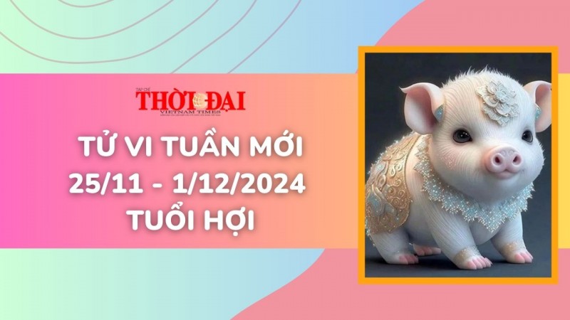 Tử vi tuần mới 25/11 đến 1/12/2024 tuổi Hợi: Tình duyên, công danh tài lộc