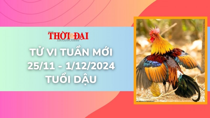 Tử vi tuần mới 25/11 đến 1/12/2024 tuổi Dậu: Tình duyên, công danh tài lộc máy mắn vượt bậc