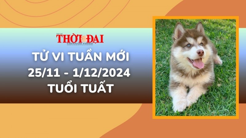 Tử vi tuần mới 25/11 đến 1/12/2024 tuổi Tuất: Tình duyên, công danh tài lộc